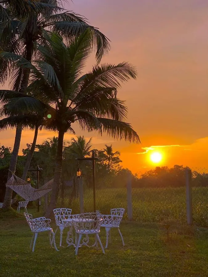 Bed & Breakfast Ekantha Ala Murinjupuzha India
